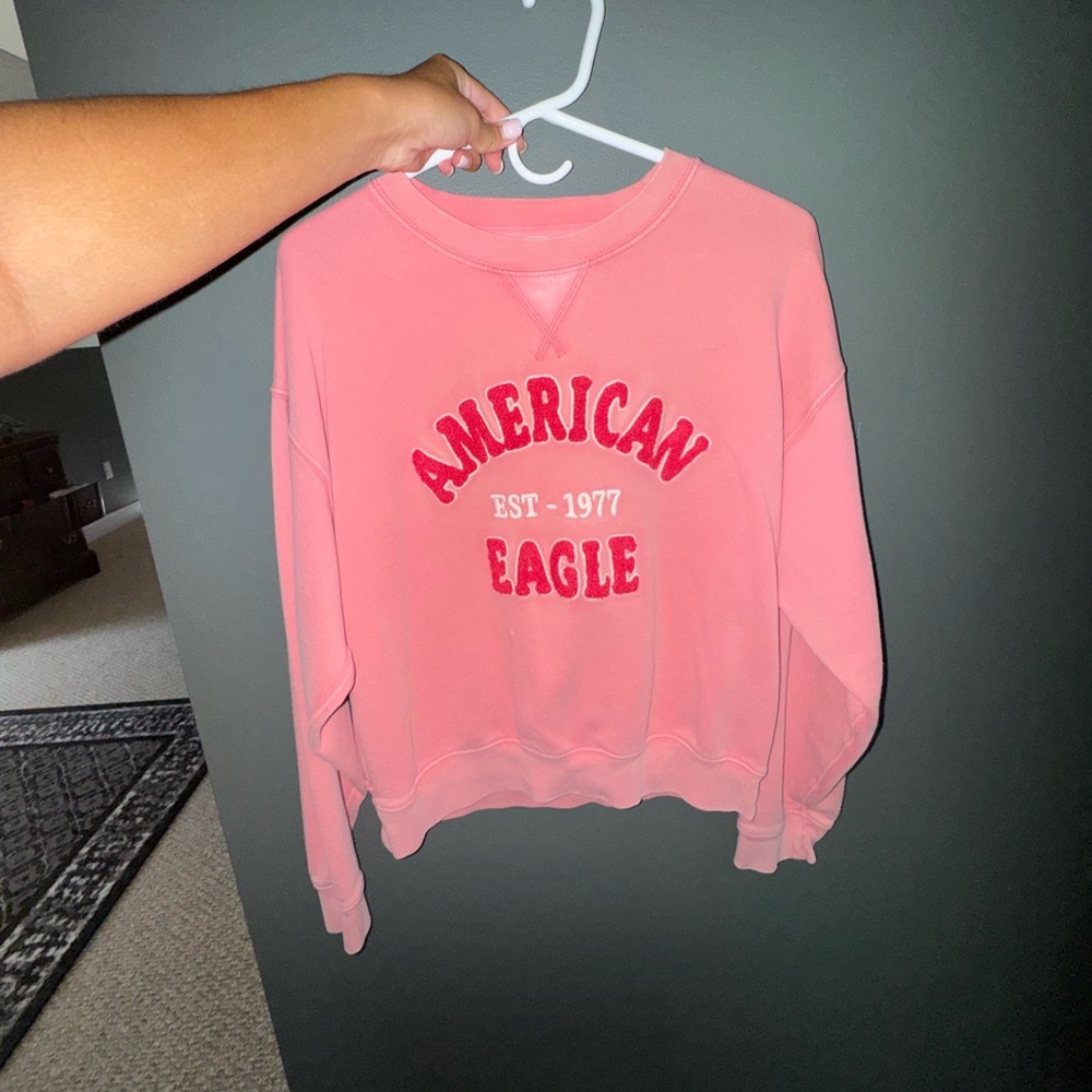 American Eagle Outfitters Coral Sweatshirt